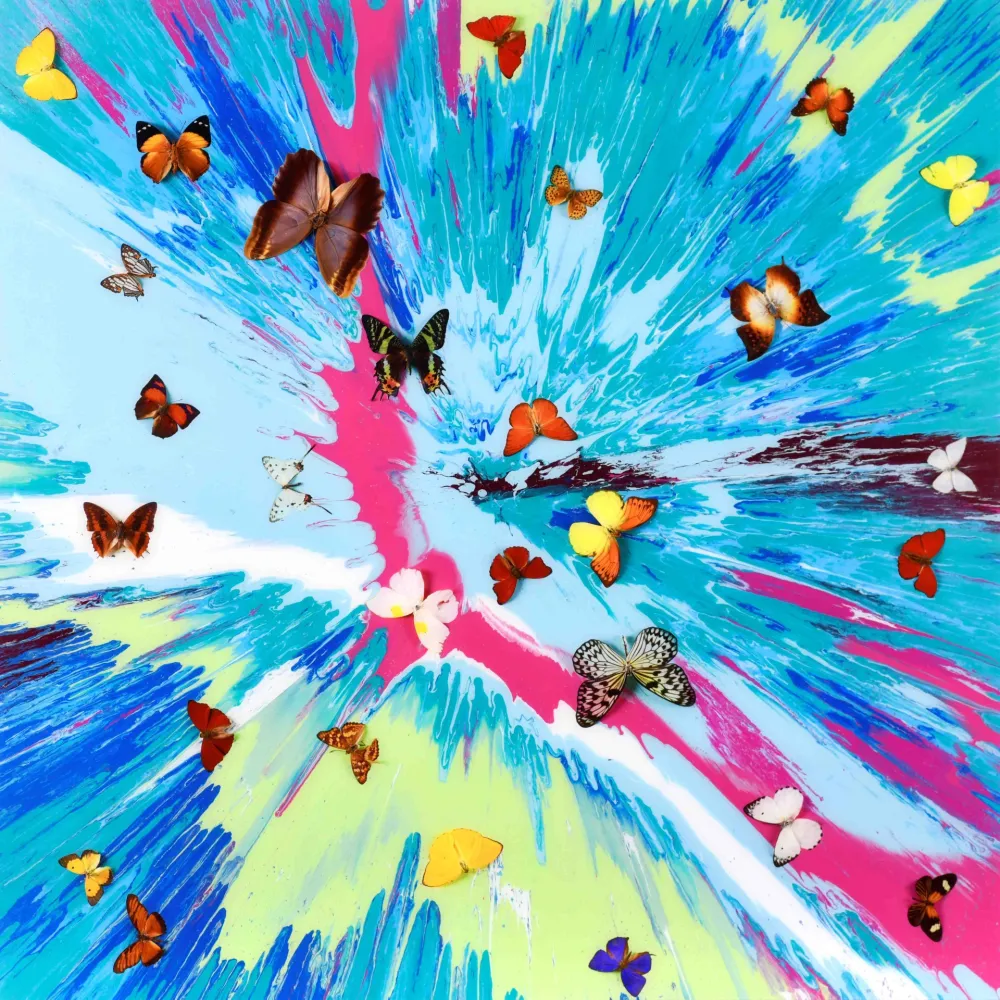 Multiplo Hirst - The Dreams – Gentle Zephyr