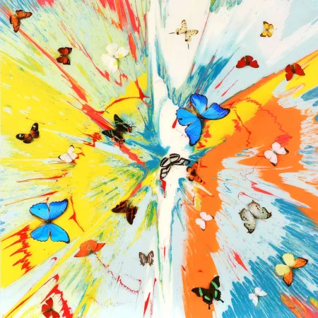 Multiplo Hirst - The Dreams – Transient Ephemera