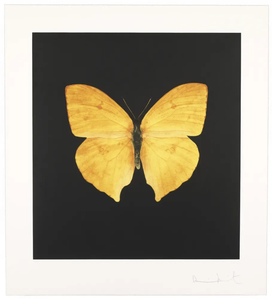 Incisione Hirst - The Souls On Jacob’s Ladder Take Their Flight I