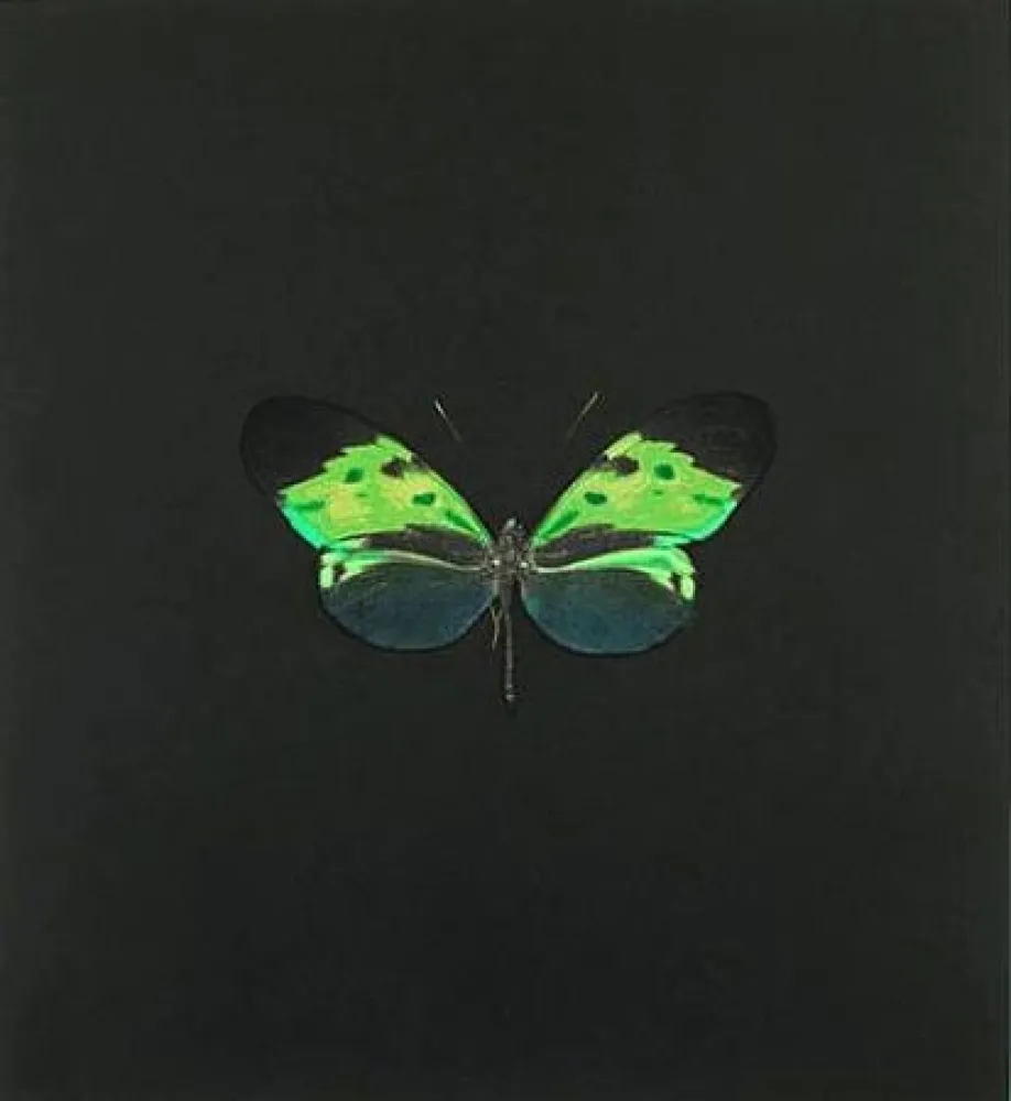 Acquaforte Hirst - The Souls on Jacob's Ladder Take Their Flight (Small Green)