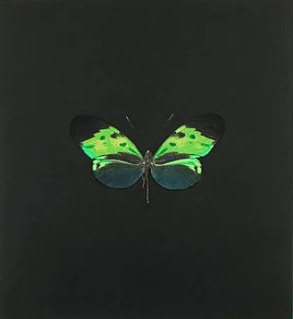 Acquaforte Hirst - The Souls on Jacob's Ladder Take Their Flight (Small Green)