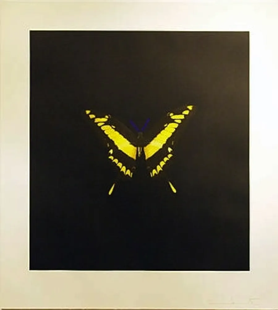 Acquaforte Hirst - The Souls On Jacob's Ladder Take Their Flight (Small Yellow)