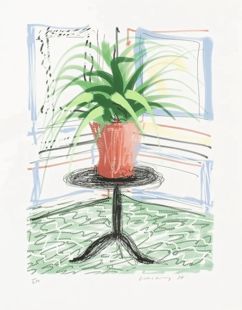Multiplo Hockney - IPad Drawing Untitled #468