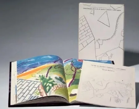 Libro Illustrato Hockney - La Isla de Martha Vineyard y otros lugares