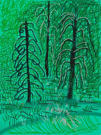 Grafica Numerica Hockney - Yosemite No.16