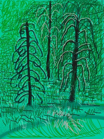 Multiplo Hockney - Yosemite No.16