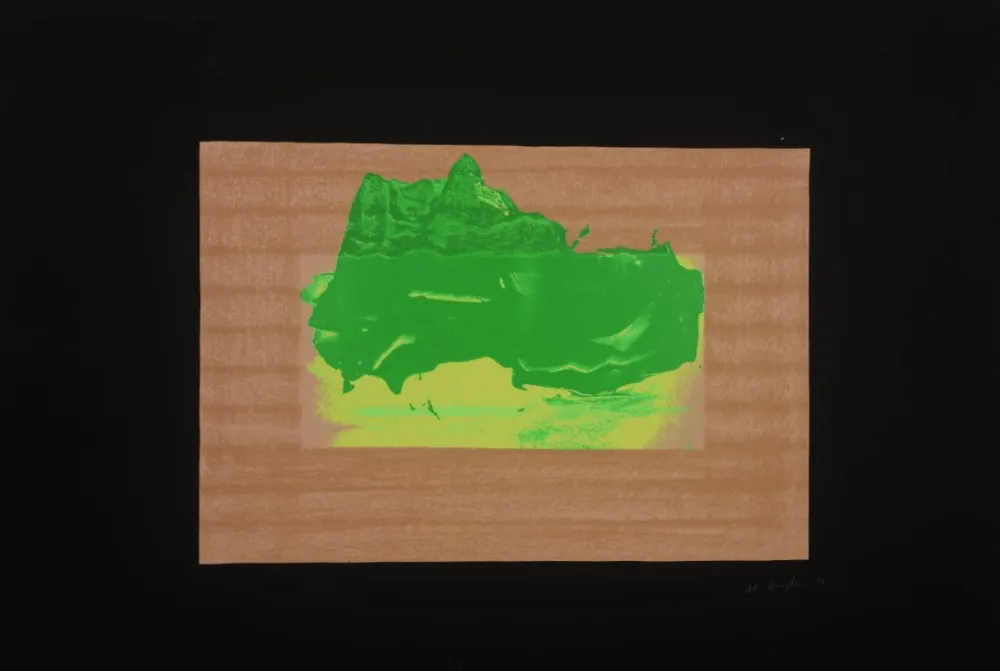Serigrafia Hodgkin - Indian Views Suite – Plate D