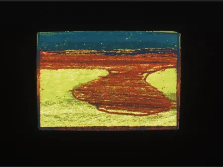 Serigrafia Hodgkin - Indian Views Suite – Plate L 