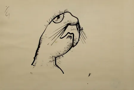 Non Tecnico Hofer - Robbe (Seal)