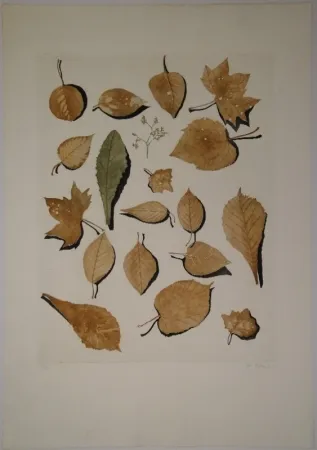 Acquaforte E Acquatinta Hofkunst - (Welke Laubblätter)