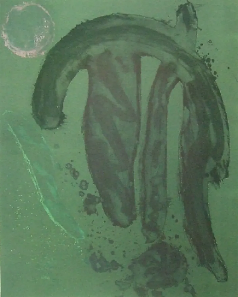 Acquaforte E Acquatinta Hoyland - La manga