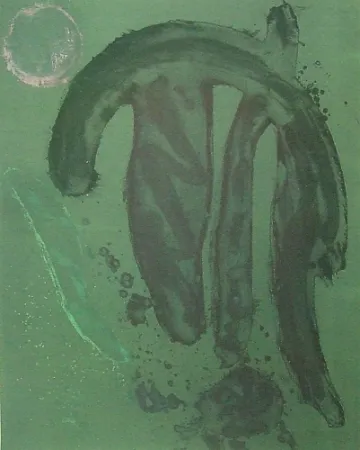 Acquaforte E Acquatinta Hoyland - La manga