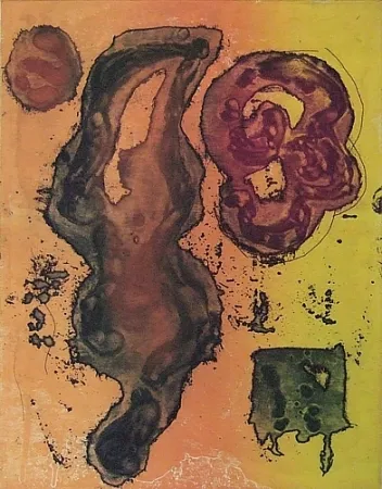 Acquaforte E Acquatinta Hoyland - Rivers of Surprise