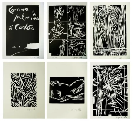 Libro Illustrato Huftier - Comme Palmiers à Cadès