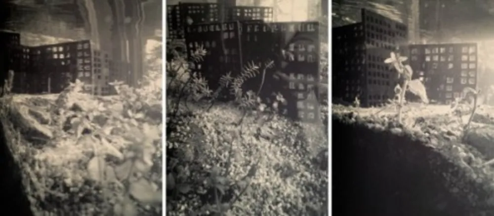 Fotografie Iglesias - Aquarium II