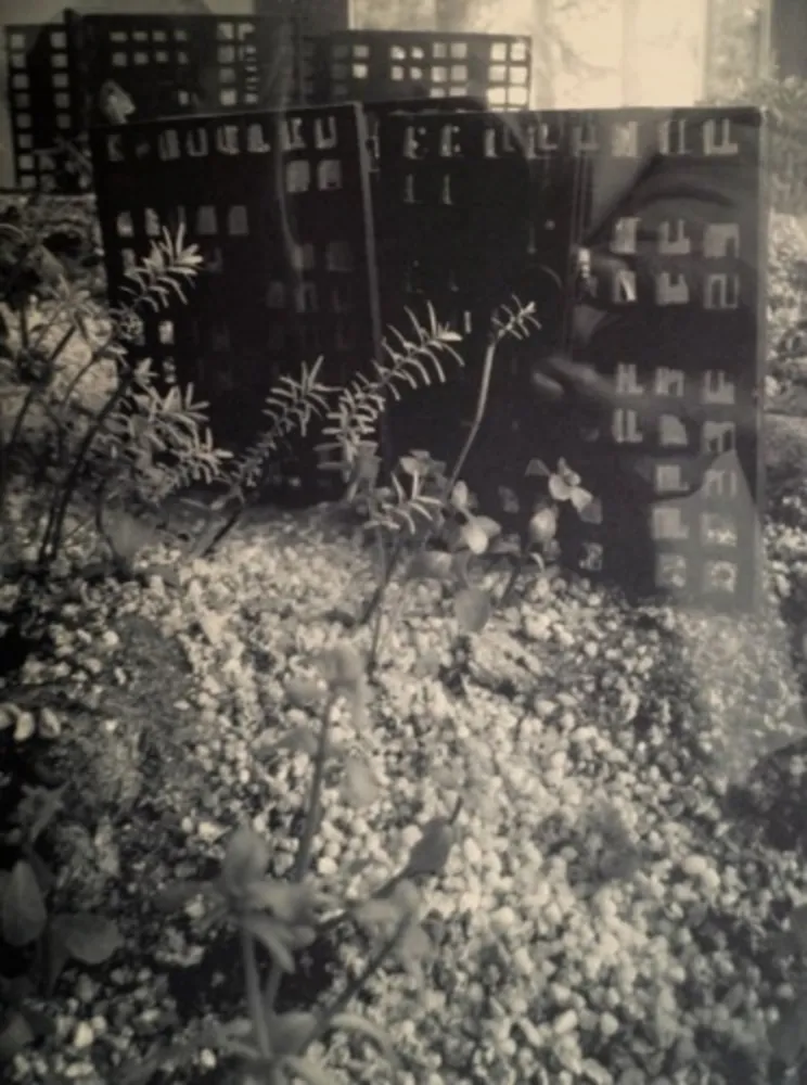 Fotografie Iglesias - Aquarium II, 2