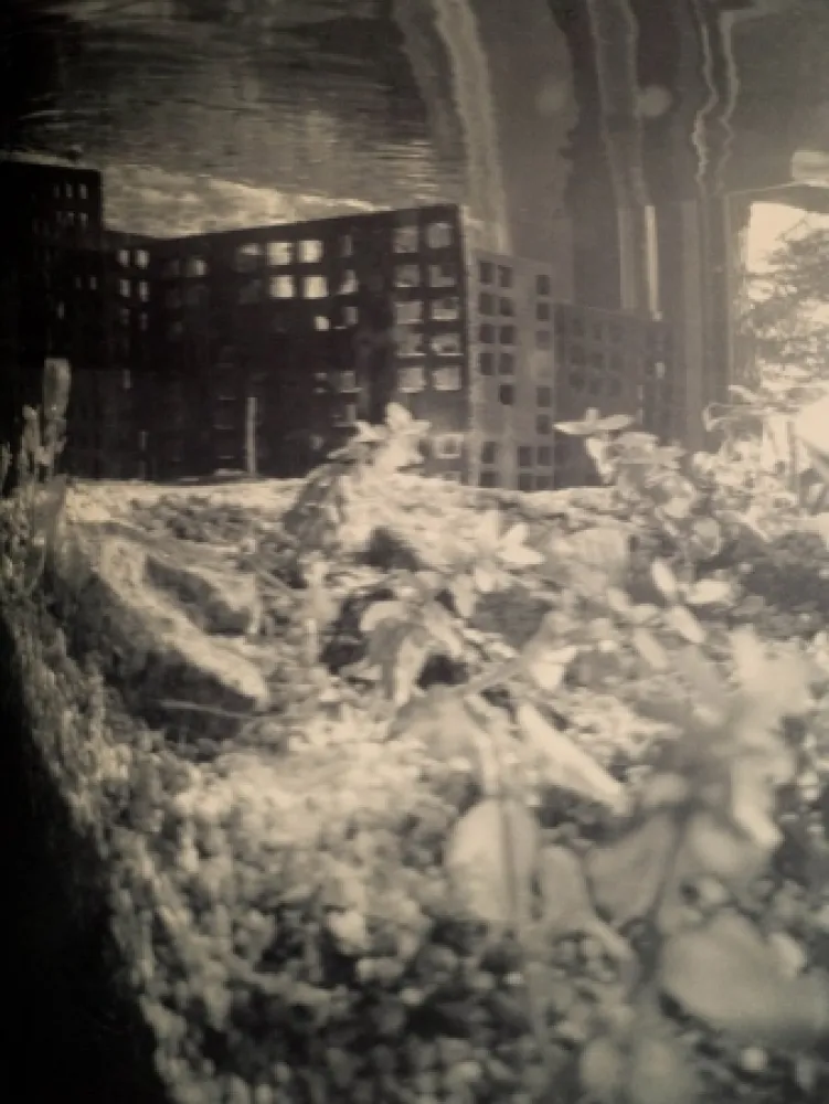 Multiplo Iglesias - Aquarium II, 3