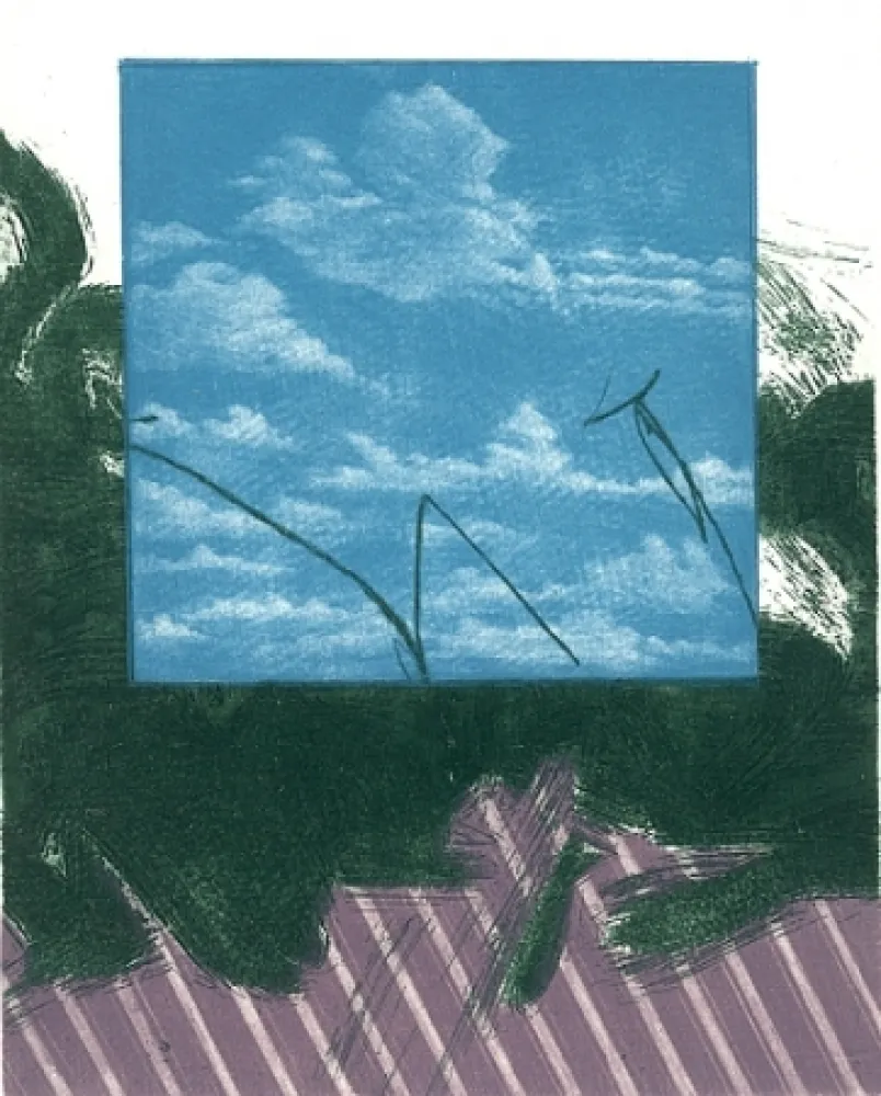 Libro Illustrato Ikeda - Gennaio a Kyoto