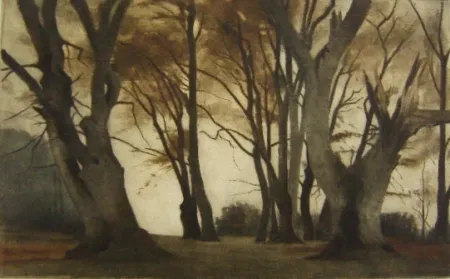 Maniera Nera Ilsted - Trees in Elmelunden