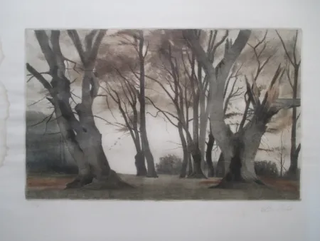 Maniera Nera Ilsted - Trees in Ermelunden