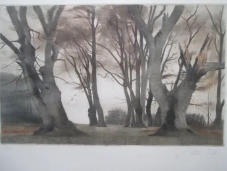 Maniera Nera Ilsted - Trees in Ermelunden