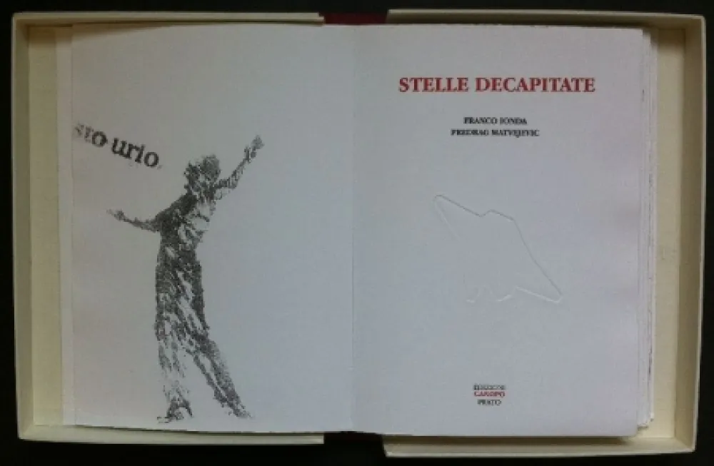 Libro Illustrato Ionda - Stelle decapitate