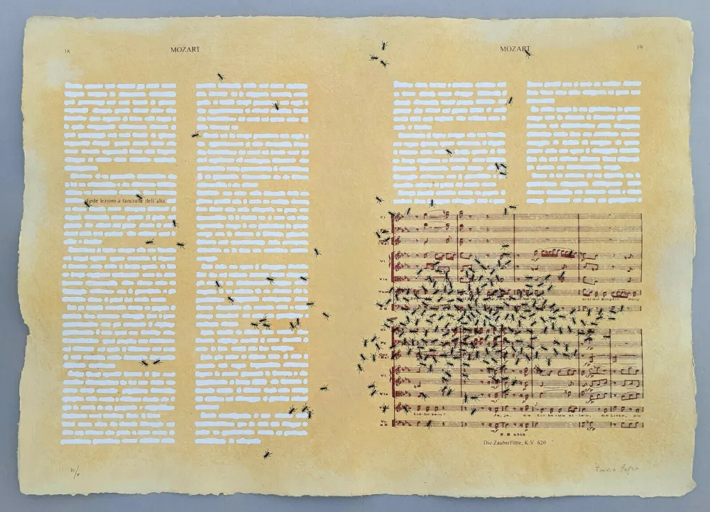 Serigrafia Isgro - Mozart