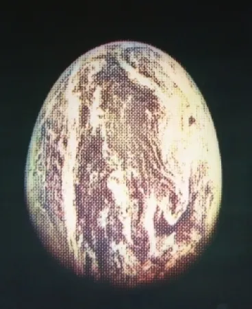 Acquaforte E Acquatinta Jacquet - L'oeuf