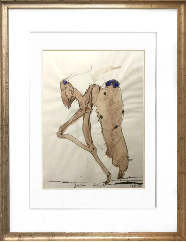 Non Tecnico Janssen - Criket