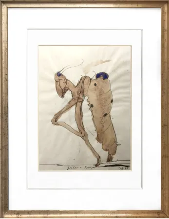 Non Tecnico Janssen - Criket