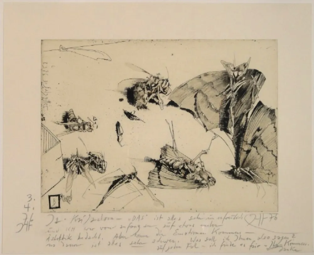 Incisione Janssen - (Tote Nachtfalter und Insekten)