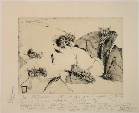 Incisione Janssen - (Tote Nachtfalter und Insekten)