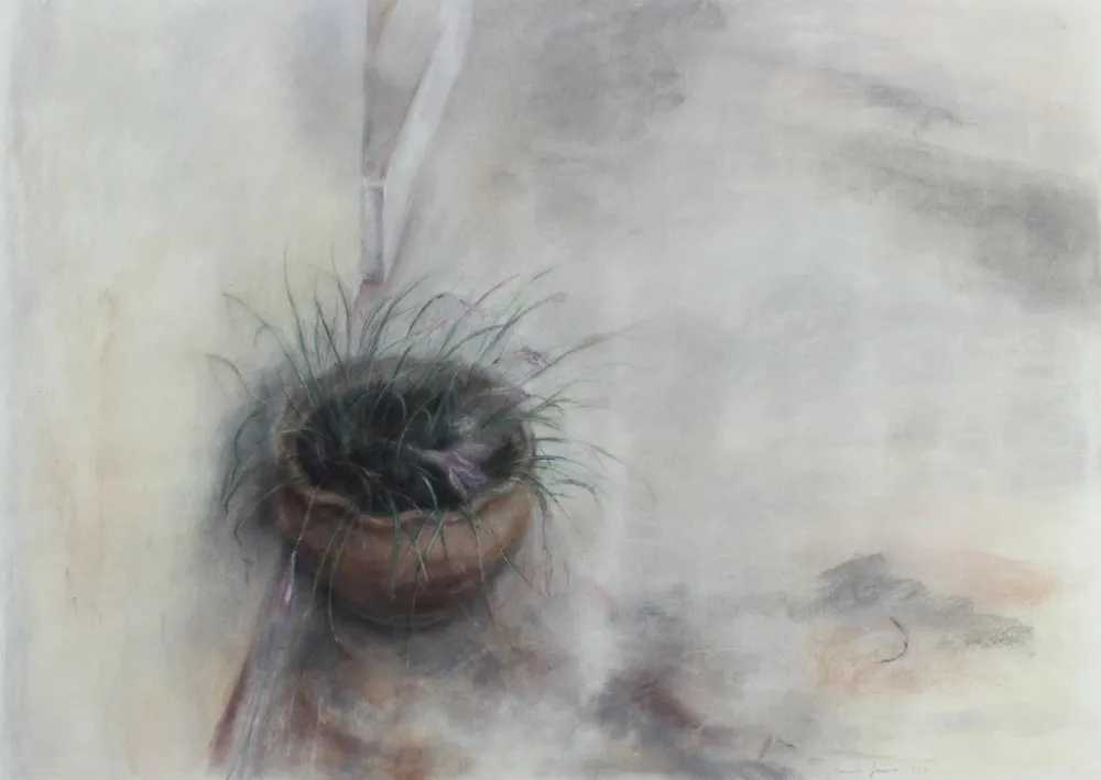 Non Tecnico Jaume - On the Patio