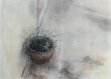 Non Tecnico Jaume - On the Patio