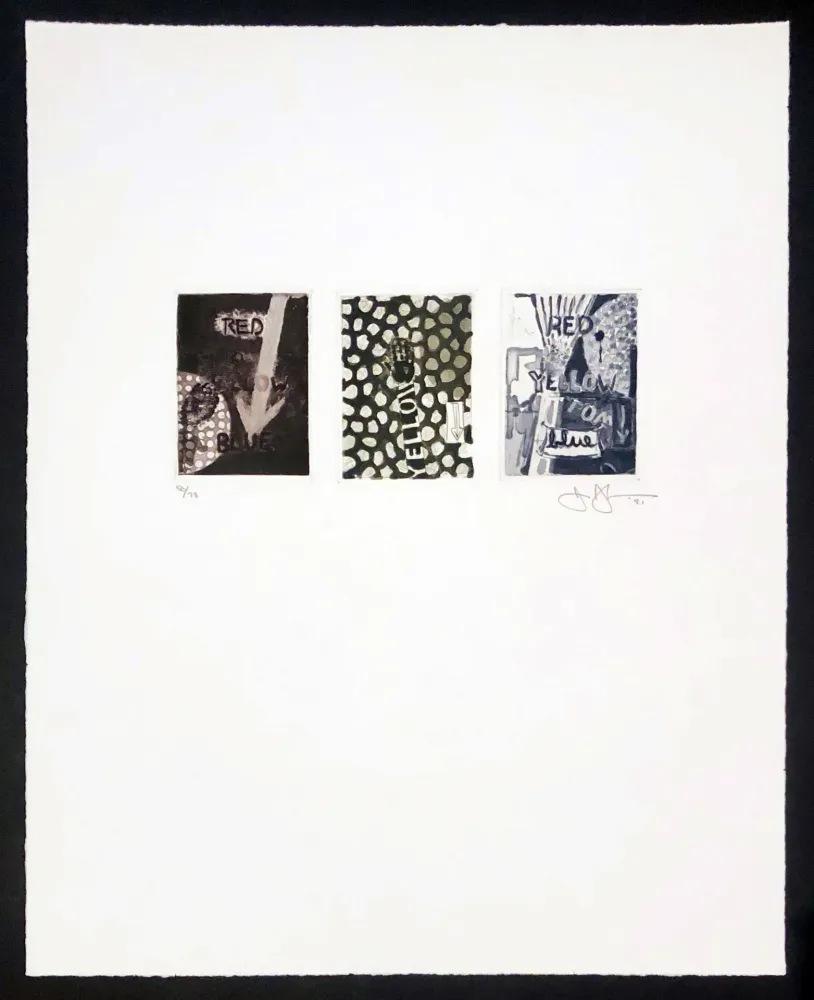 Incisione Johns - Untitled (Red, Yellow, Blue)