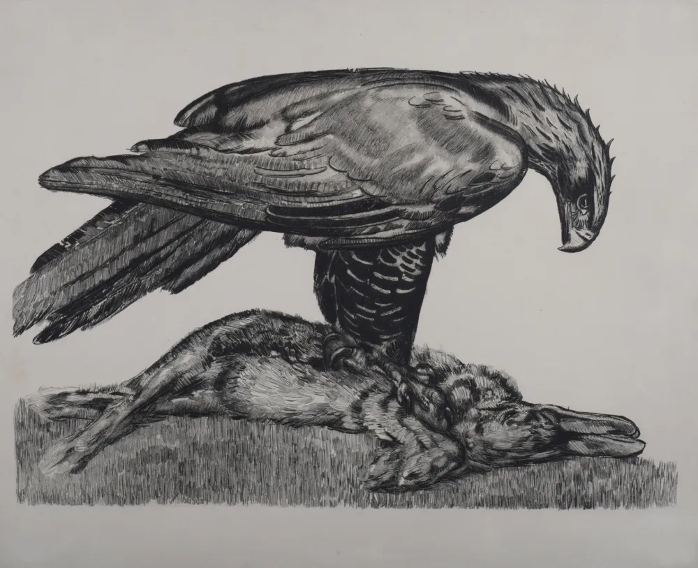 Acquaforte Jouve - Aigle enserrant un lièvre, c. 1930 - Deluxe suite!