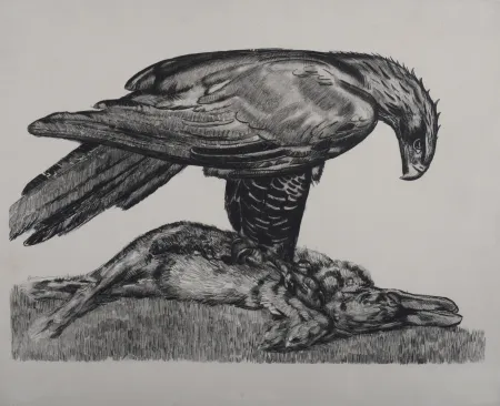 Acquaforte Jouve - Aigle enserrant un lièvre, c. 1930 - Deluxe suite!