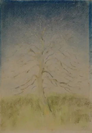 Non Tecnico Junghanns - (Kahler Baum)