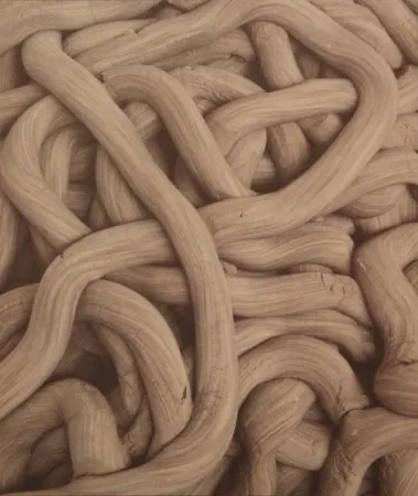 Litografia Kapoor - A Detail of Greyman Cries, Shaman Dies, Billowing Smoke, Beauty Evoked, 2008-2009 