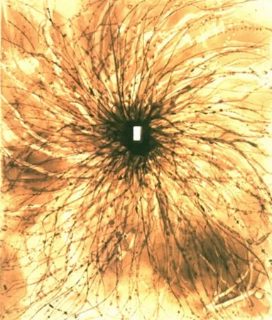 Acquatinta Kapoor - Door