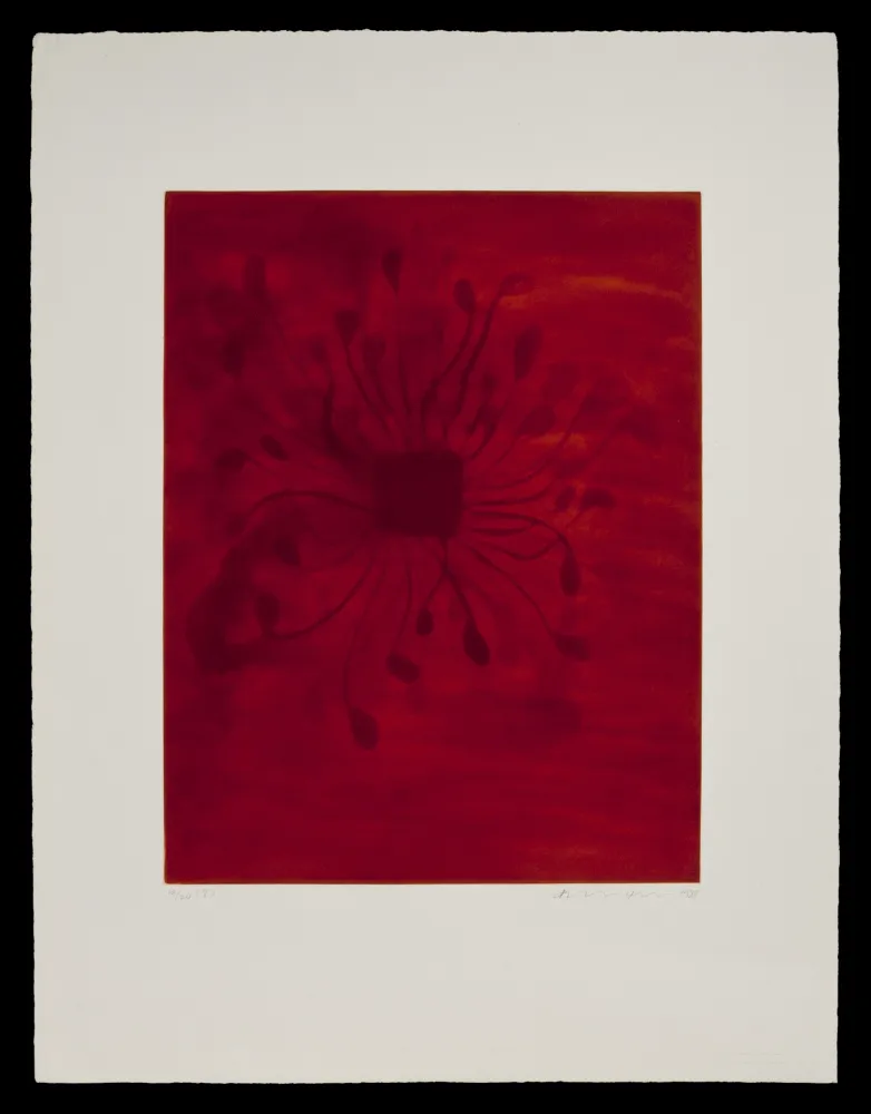 Acquatinta Kapoor - S/T