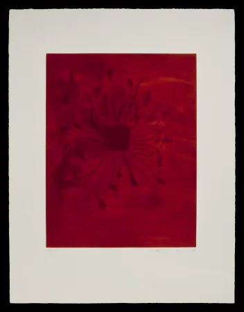 Acquatinta Kapoor - S/T