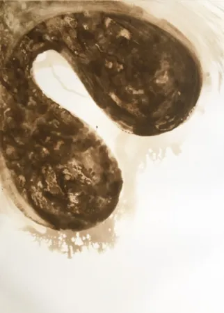 Acquatinta Kapoor - Untitled (12)