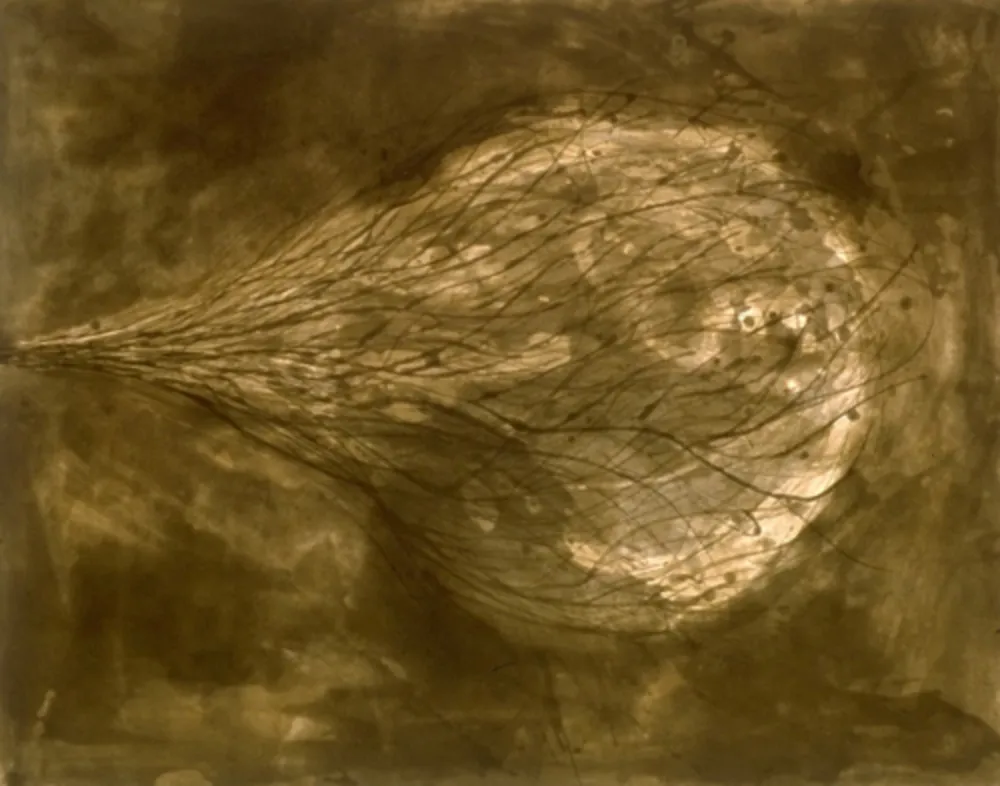 Acquatinta Kapoor - Untitled (III)