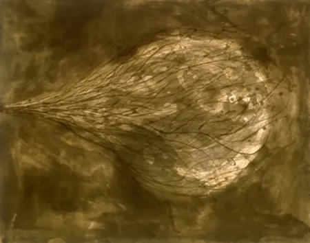 Acquatinta Kapoor - Untitled (III)