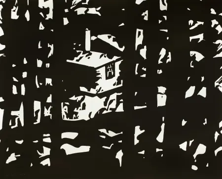 Rilievo Katz - Maine Woos III