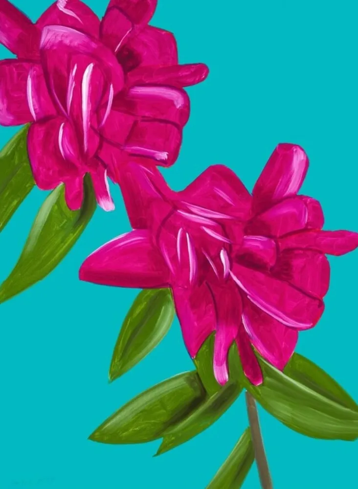 Non Tecnico Katz - Peonies