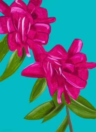 Non Tecnico Katz - Peonies