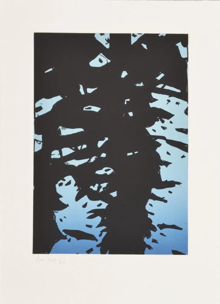 Acquaforte Katz - Reflection I