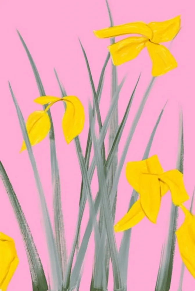 Non Tecnico Katz - Yellow Flags 3